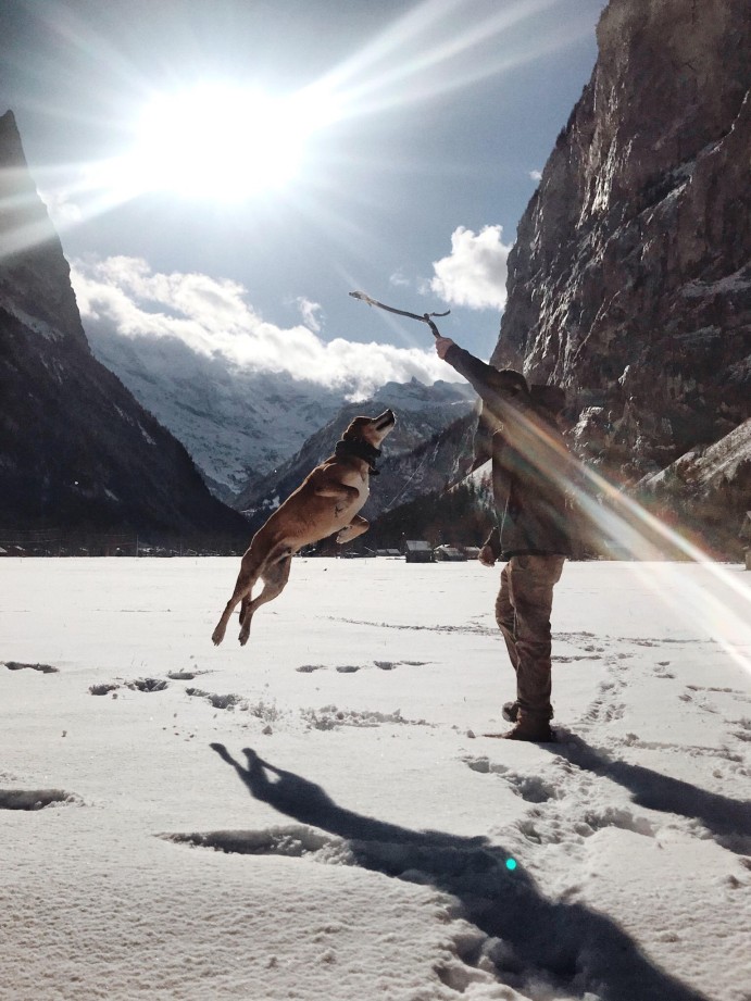 Thunder leaping to catch something from Devin's hand in a snowy mountain setting with dramatic alpine cliffs